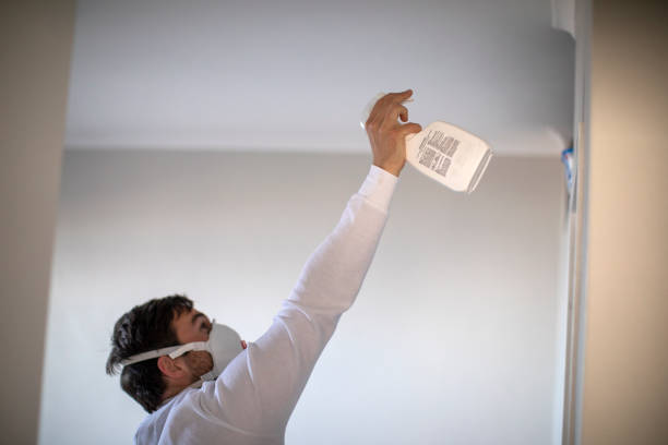 Best Commercial Mold Removal  in Sebastian, TX