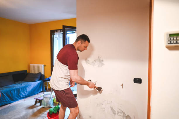 Best Emergency Mold Removal  in Sebastian, TX